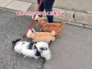 家族でお散歩