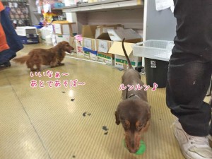 後でかしてね
