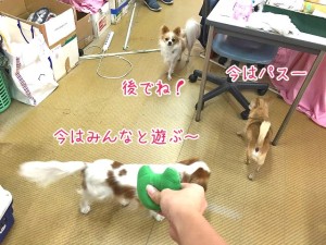 後でね