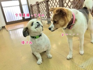 後でね