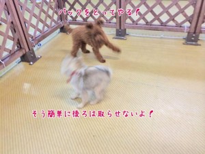 後ろは取らせない！