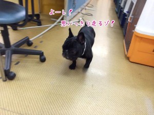 思いっきり走るぞ