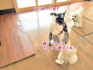 感動の再会？