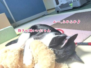抱きマクラ状態
