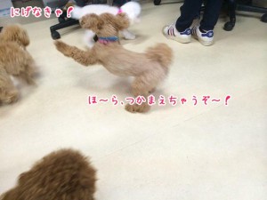 捕まえちゃうぞ～