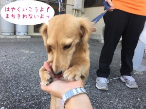 早くお散歩に行きたいワン