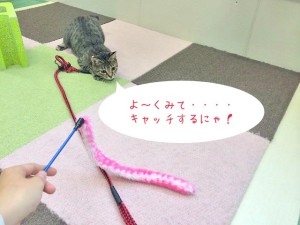 様子を伺って･･