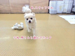 熊さんと遊んでたの