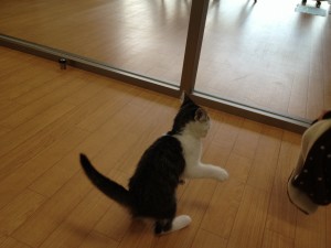 画像 003