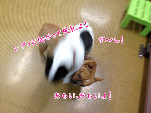 画像 004