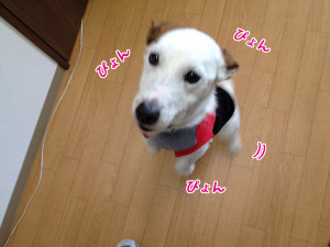 画像 006