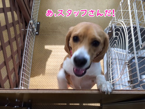 画像 011