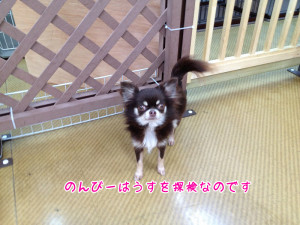 画像 012
