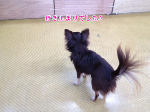 画像 013