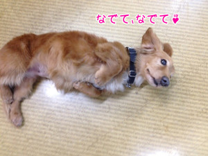 画像 015