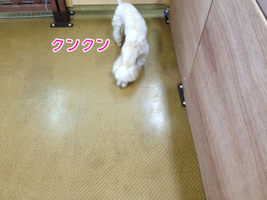 画像 017
