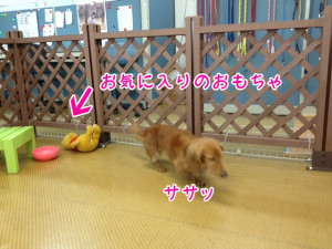 画像 020