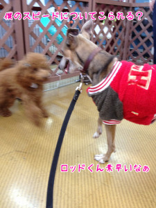 画像 049
