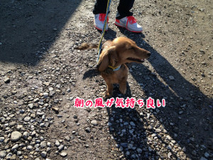 画像 052