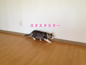 画像 058