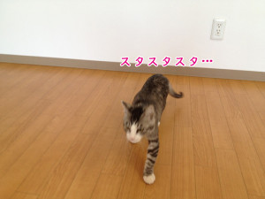 画像 060