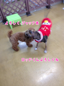 画像 060