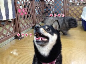 画像 080
