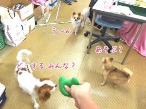 相談中