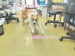 脇をすり抜ける