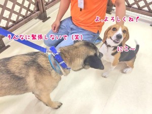 自然でいいよ