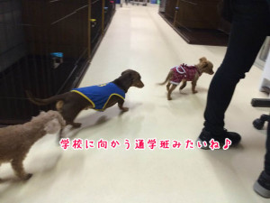 通学班みたい