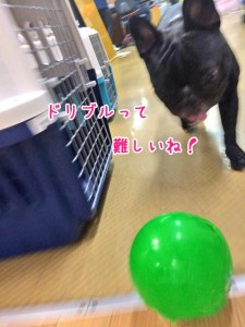 難しいんだね