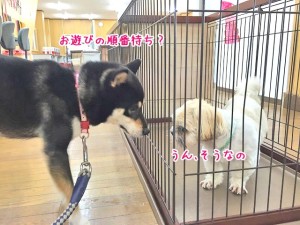 順番待ち