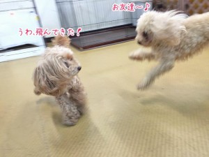 飛んでるみたい