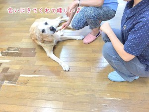 飼主様も良くいらっしゃいます