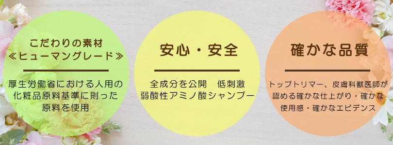 アフロートふっくらシャンプーの特徴