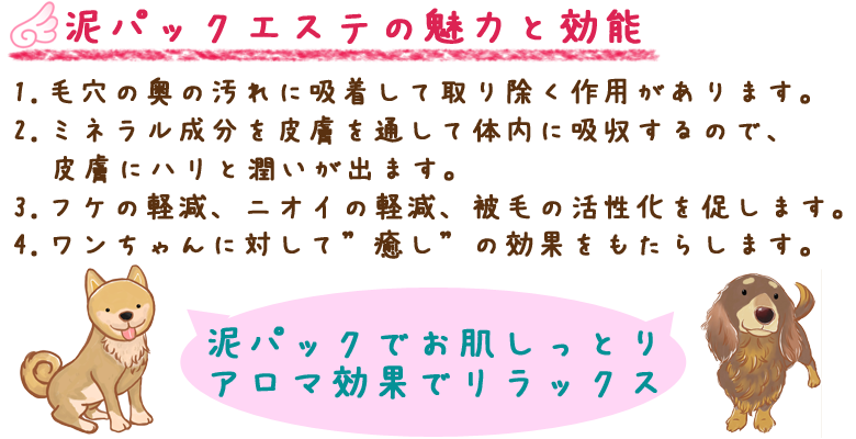 1.毛穴の奥の汚れに吸着して取り除く作用があります。
2.ミネラル成分を皮膚を通して体内に吸収するので、皮膚にハリと潤いが出ます。
3.フケの軽減、ニオイの軽減、被毛の活性化を促します。
4.ワンちゃんに対して”癒し”の効果をもたらします。