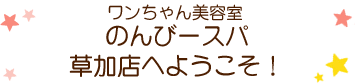 のんびースパ草加店へようこそ！