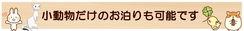 うさぎ、フェレット、鳥、ハムスターだけでもお泊りできます