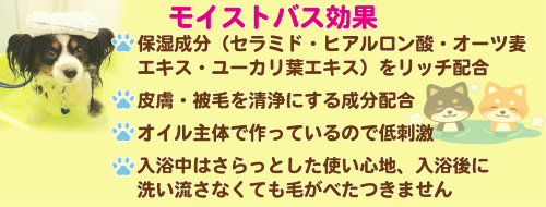 モイストバス