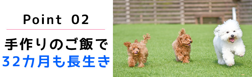 手作り 無添加ドッグフード のんびーごはん ペットホテルが犬の健康を考えて作った愛情ドッグフード 手作り 無添加ドッグフード のんびーごはん ペットホテルが犬の健康を考えて作った愛情ドッグフード