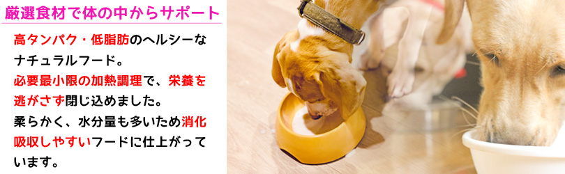 手作り 無添加ドッグフード のんびーごはん ペットホテルが犬の健康を考えて作った愛情ドッグフード 手作り 無添加ドッグフード のんびーごはん ペットホテルが犬の健康を考えて作った愛情ドッグフード