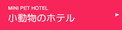 小動物のペットホテル