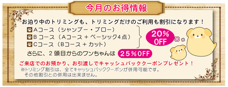 毎月のお得情報