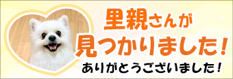 犬ちゃん・猫ちゃんの里親募集