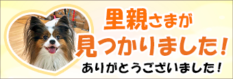 犬ちゃん・猫ちゃんの里親募集