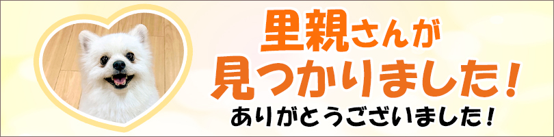 犬ちゃん・猫ちゃんの里親募集