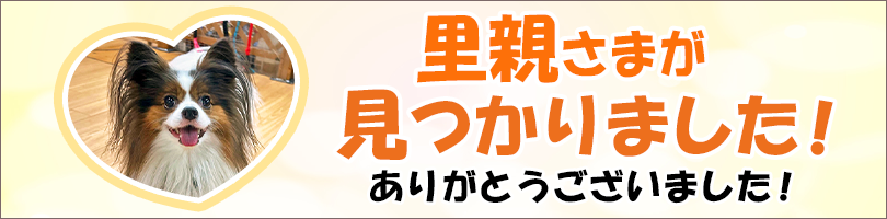 犬ちゃん・猫ちゃんの里親募集