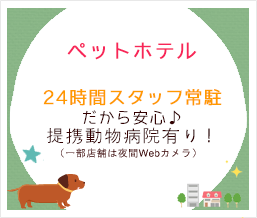 ペットホテル　24時間スタッフ常駐だから安心！当日9時～18時迄のロングステイ制