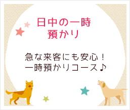 日中の一時預かり　急な来客にも安心！一時預かりコース！